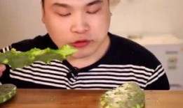 二哈爆料视频大全,萌宠日常笑料不断