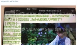 王贵妃爆料新闻报道视频,揭秘幕后真相，视频内容大曝光