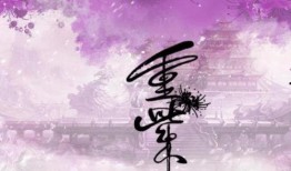 重庆师尊爆料视频,一场惊心动魄的幕后故事