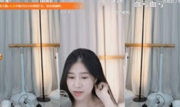 女主播福利视频在线观看,揭秘网络直播界的诱惑与风险