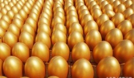 金蛋在线观看,探索虚拟世界的无限魅力