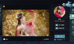 雪鹰直播爆料视频大全,揭秘幕后真相与精彩瞬间