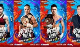 拳击玄武爆料视频大全,揭秘精彩瞬间与幕后故事
