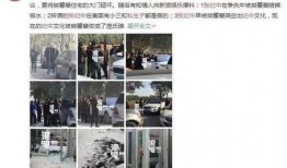 金宝前妻爆料视频,揭秘婚姻内幕与情感纠葛