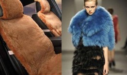 皮毛一体爆料视频,幕后真相大曝光