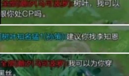 树叶直播间爆料视频大全,视频大全精彩瞬间回顾