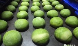 海苔咪大哥爆料的视频,揭秘视频背后的惊人真相！