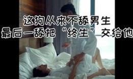 被舔的视频在线观看,被舔背后的故事与情感纠葛