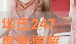 华氏247度在线观看,在线揭秘极端高温下的生存挑战