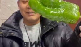 江门网红吃瓜事件视频,揭秘网络争议背后的真相