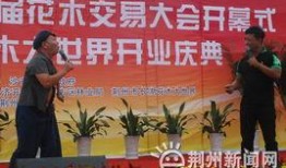 荆州垄上行在线观看,探寻古楚文化之旅