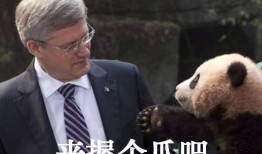 熊孩子爆料妈妈视频播放