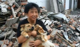 爆料救助流浪狗犯法吗视频