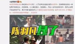 丁姐爆料视频大全下载,揭秘幕后真相，带你走进事件核心