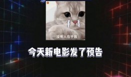 娱乐吃瓜最前线,吃瓜群众齐聚“娱乐吃瓜最前线”