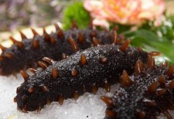 海参哥最新爆料图片,最新爆料图片背后的惊人真相