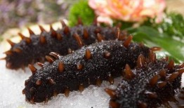 海参哥最新爆料图片,最新爆料图片背后的惊人真相