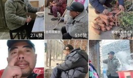农民二哥爆料视频播放,揭秘农村生活现状