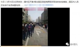 青县爆料最新新闻网友群,网友群热议最新新闻动态概览