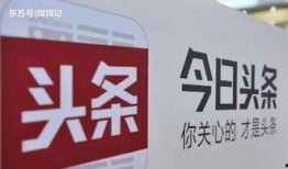 今日头条新都爆料,今日头条最新动态揭秘