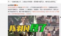 卓伟爆料视频古装图片高清,古装图片高清揭秘，明星古装造型大比拼