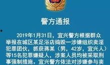 重点新闻爆料怎么写,深度剖析事件背后真相