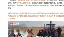 王贵妃爆料新闻报道视频,揭秘幕后真相，视频内容大曝光