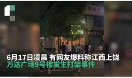 爆料打架事件视频最新,最新爆料打架事件引发社会关注