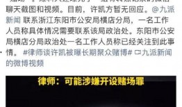 有关许凯的爆料视频播放,揭秘娱乐圈背后真相