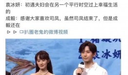 成毅老家爆料事件视频完整版,背后真相与情感纠葛