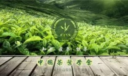 中国茶叶爆料视频最新版,传承与创新共舞