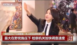 韩清真实爆料视频在线观看,视频内容大起底