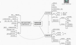 三月高招官方爆料视频大全,视频大全深度解析