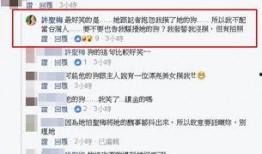台湾许圣梅爆料视频大全,独家内容大盘点