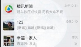 最新网友爆料视频下载安装,网友爆料视频下载安装全过程，带你领略最新科技魅力