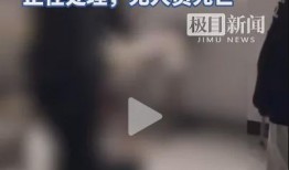 学校霸凌爆料案例视频