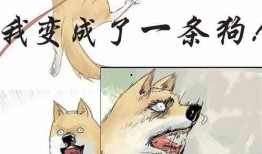 小说小雪吃瓜免费阅读,一场校园风云的甜蜜较量