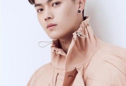 媒体爆料许凯视频下载