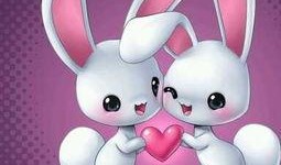 兔子爆料博主视频大全,揭秘博主视频大全背后的精彩故事