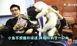 阿泰最新爆料视频,娱乐圈幕后真相大曝光