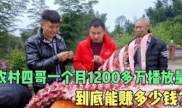 农民二哥爆料视频播放,揭秘农村生活现状