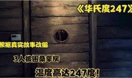 华氏247度在线观看,在线揭秘极端高温下的生存挑战
