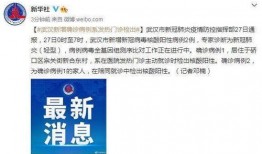 武汉新冠病毒最新爆料