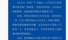 说粤语爆料新闻违法吗,法律边界与言论自由的探讨