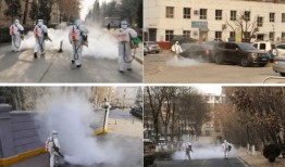 石家庄爆料逆行事件最新,惊险瞬间引发全民关注