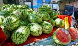 临沂网红吃瓜事件真相,真相背后的网络风波