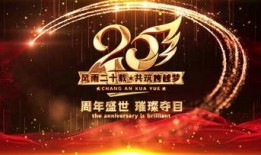 年会爆料视频素材,精彩瞬间与幕后故事大曝光