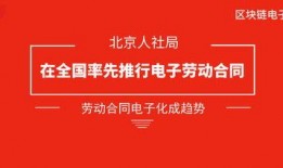 社会保障局新闻爆料电话,守护您的权益，一键联系
