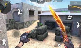 cf手游bug最新爆料,揭秘隐藏漏洞，玩家福利来袭！