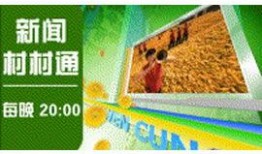 央视九套在线直播观看,领略多元文化，共筑世界视野